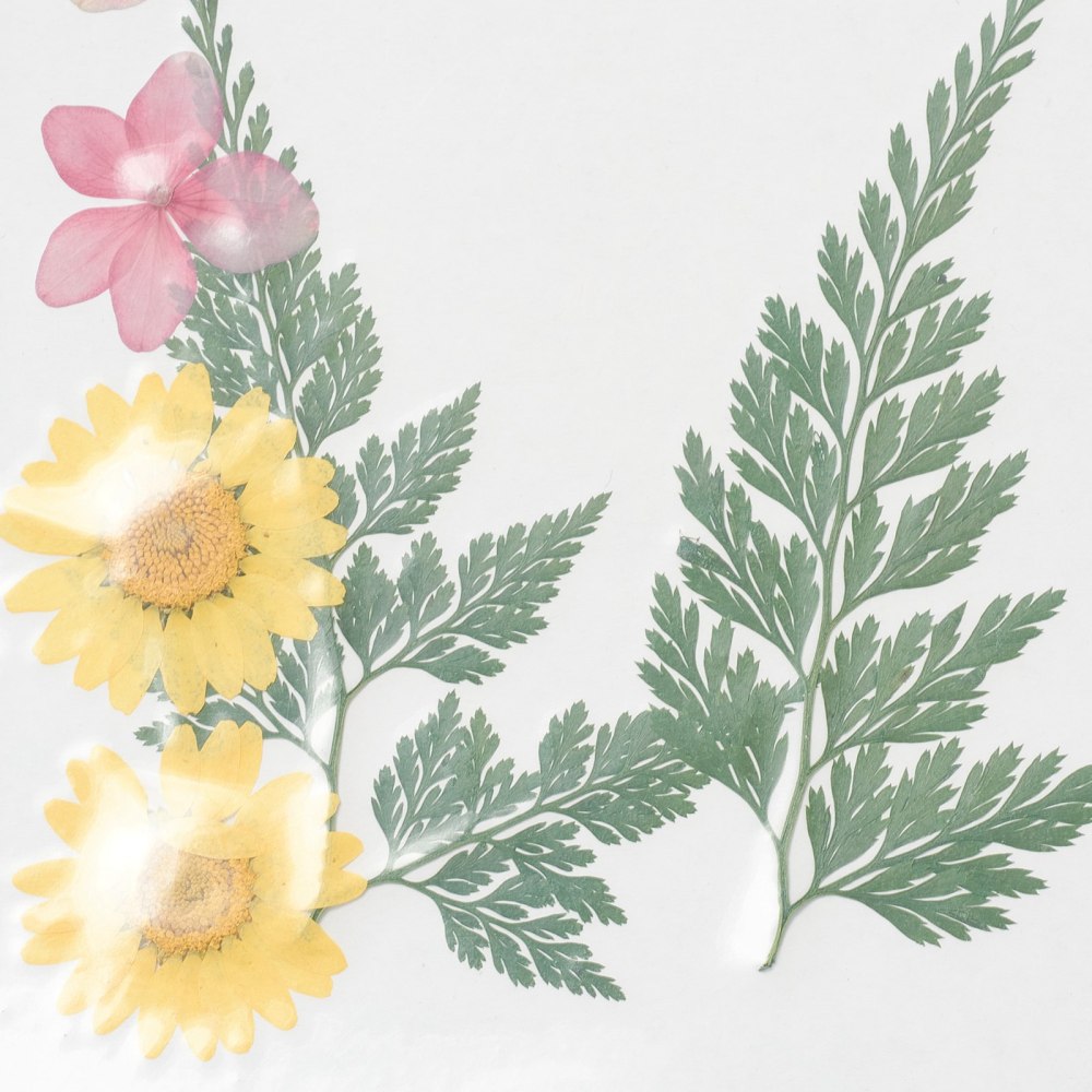 Dried flower selection B