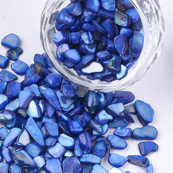 Shell beads/bead chips/shards: no hole (50g)