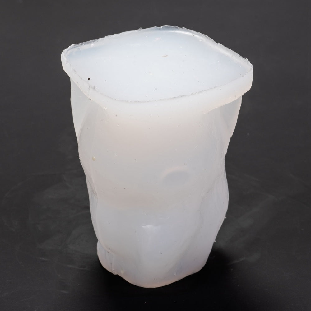 Astronaut silicon mold