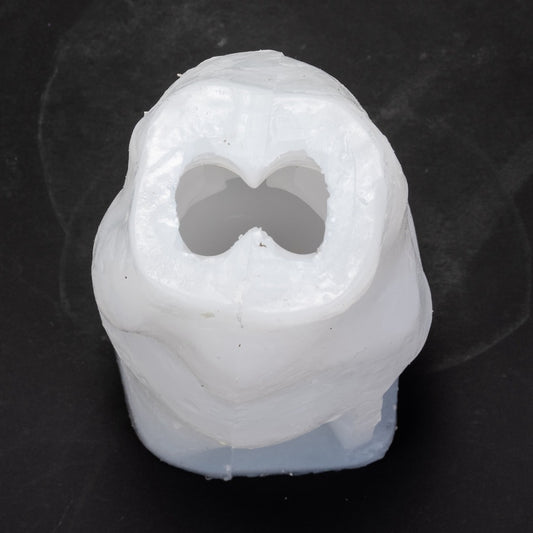 Astronaut silicon mold