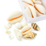 Mixed box shells