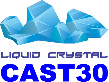 Liquid Crystal Cast30 resin