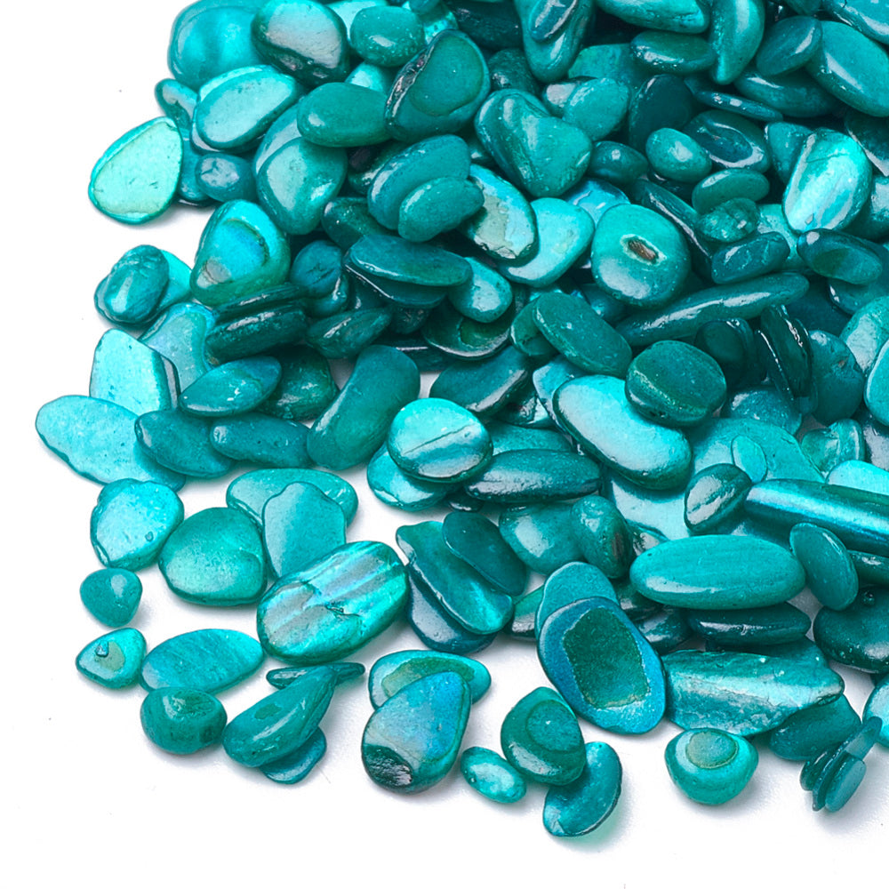 Shell beads/bead chips/shards: no hole (50g)