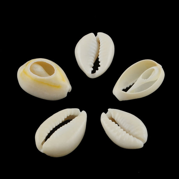Natural mixed cowrie shells small 50g