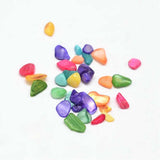 Dyed natural freshwater shell chip beads and shards 50g