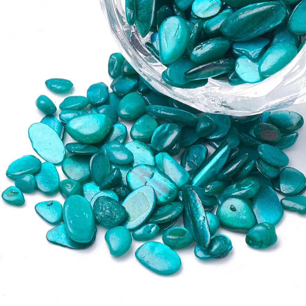 Shell beads/bead chips/shards: no hole (50g)