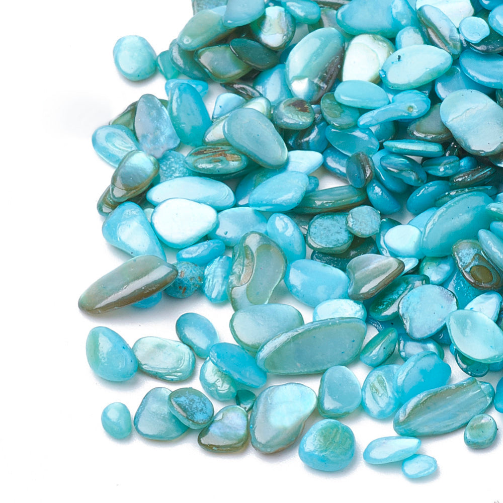 Shell beads/bead chips/shards: no hole (50g)