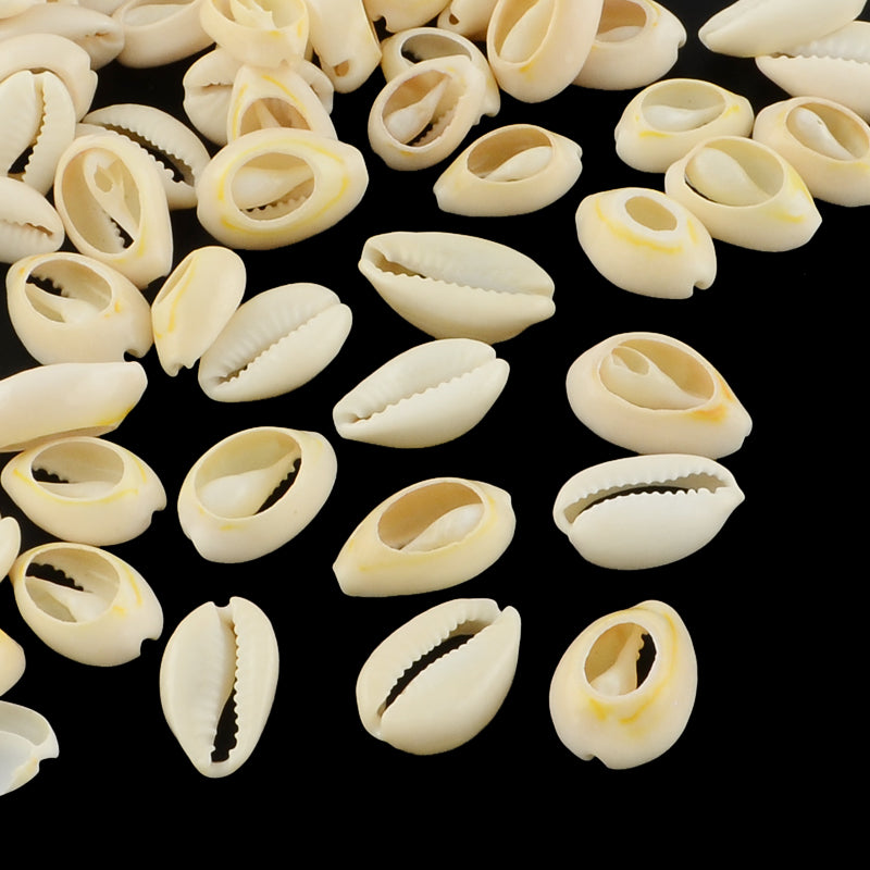 Natural mixed cowrie shells range (50g packet) – Liquid Fantasy